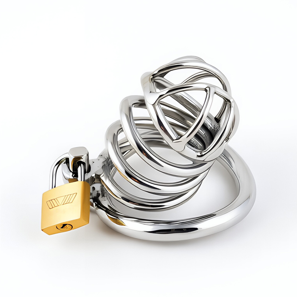 TERNENCE Stainless Steel Male Chastity Device, Durable Penis Cage with Padlock for Adult Men