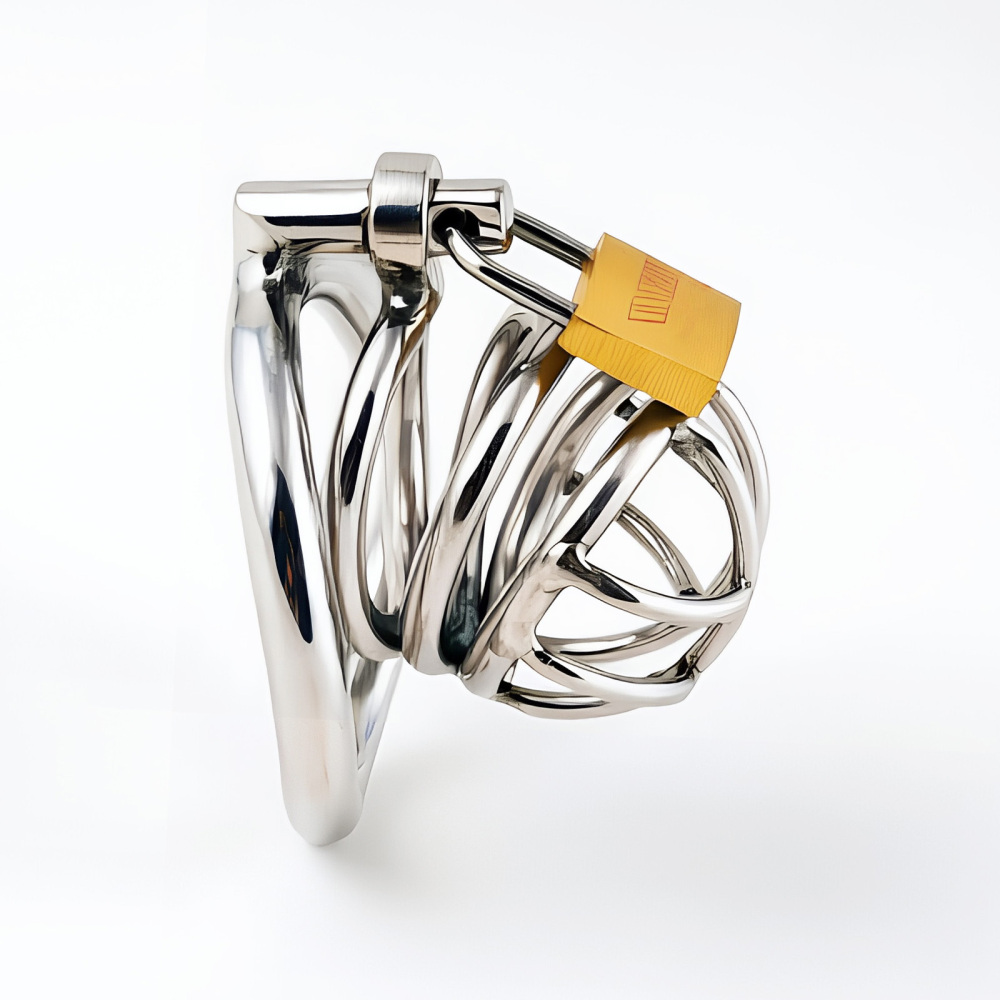 TERNENCE Metal Chastity Cage for Men, Stainless Steel Penis Cage with Security Padlock
