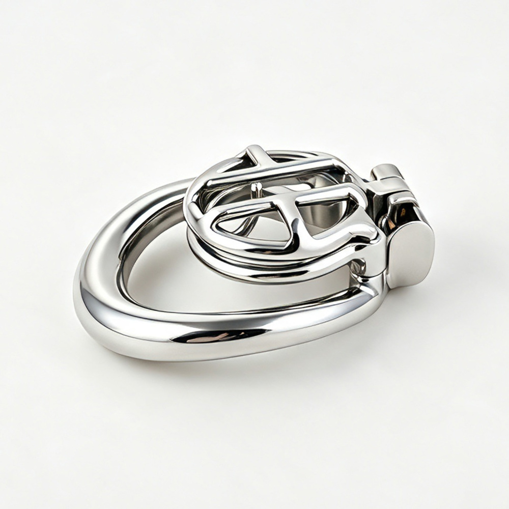 TERNENCE Small Chastity Cage, Solid Steel with PA Lock for Men