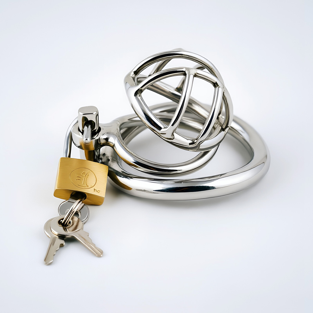 TERNENCE Stainless Steel Chastity Cage, Metal Cock Cage with Padlock for Men