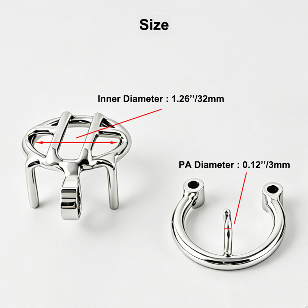 TERNENCE Small Chastity Cage, Solid Steel with PA Lock for Men (only cages do not include rings and locks)