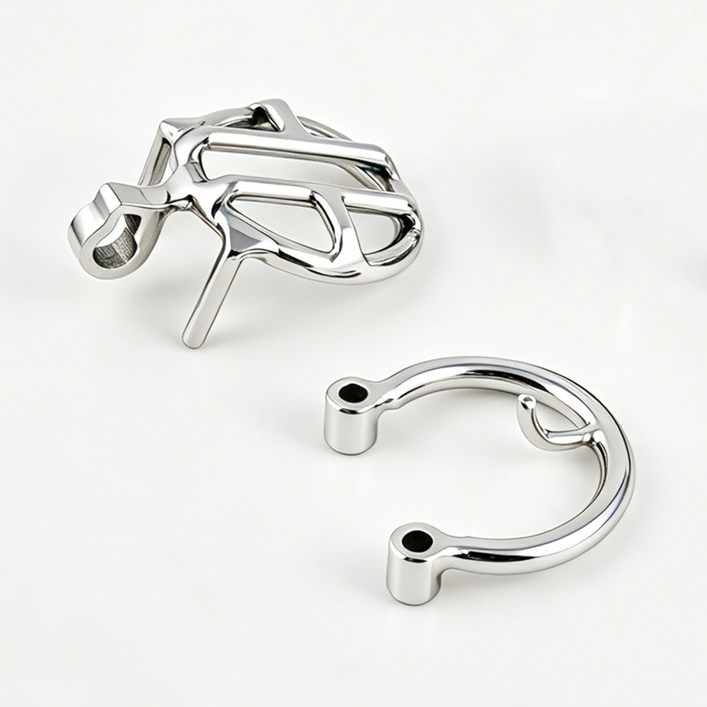 TERNENCE Small Chastity Cage, Solid Steel with PA Lock for Men (only cages do not include rings and locks)