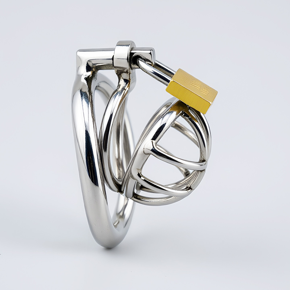 TERNENCE Stainless Steel Chastity Cage, Metal Cock Cage with Padlock for Men
