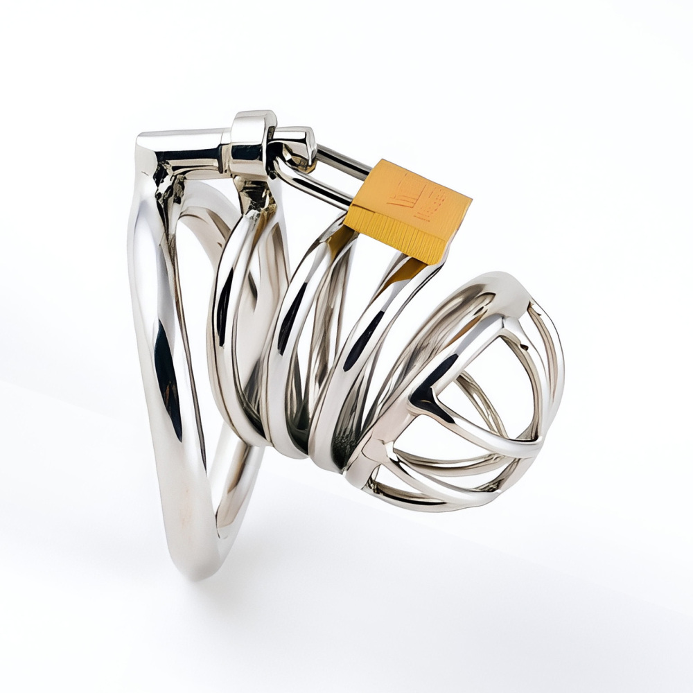 TERNENCE Stainless Steel Male Chastity Device, Durable Penis Cage with Padlock for Adult Men