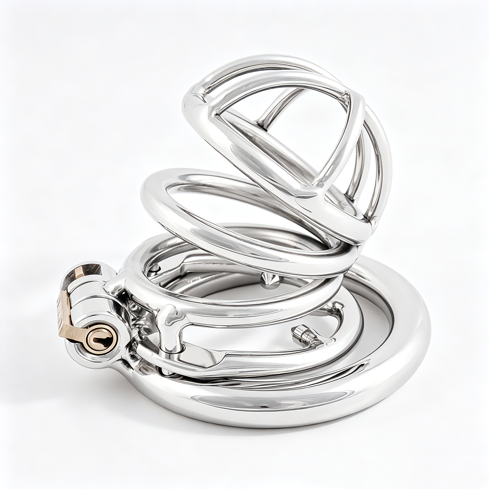 TERNENCE Male Chastity Cock Cage Adult Game Sex Toy with Anti-Off Ring
