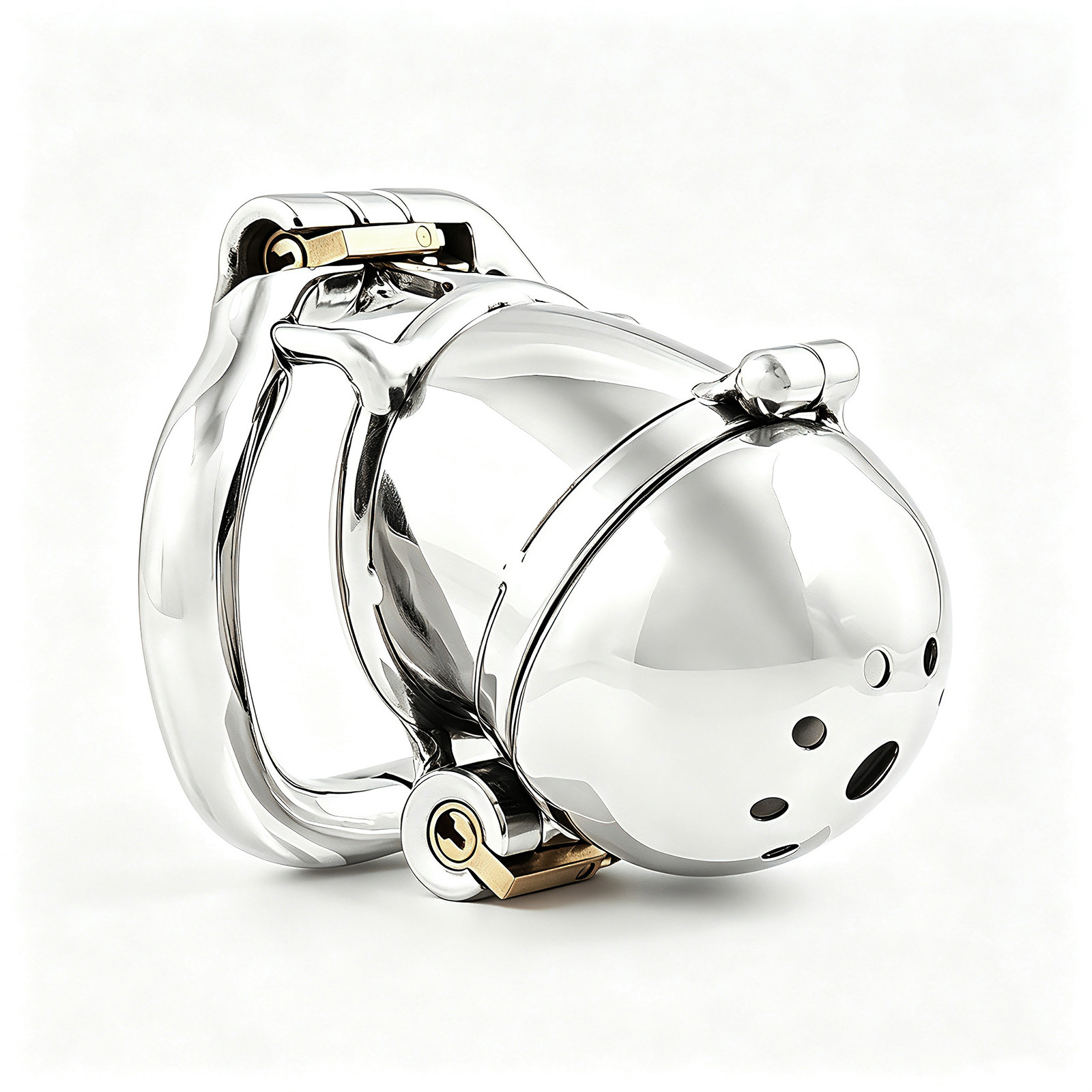 TERNENCE Stainless Steel Male Chastity Device Ergonomic Design Cock Cage with 2 Built-in Locks