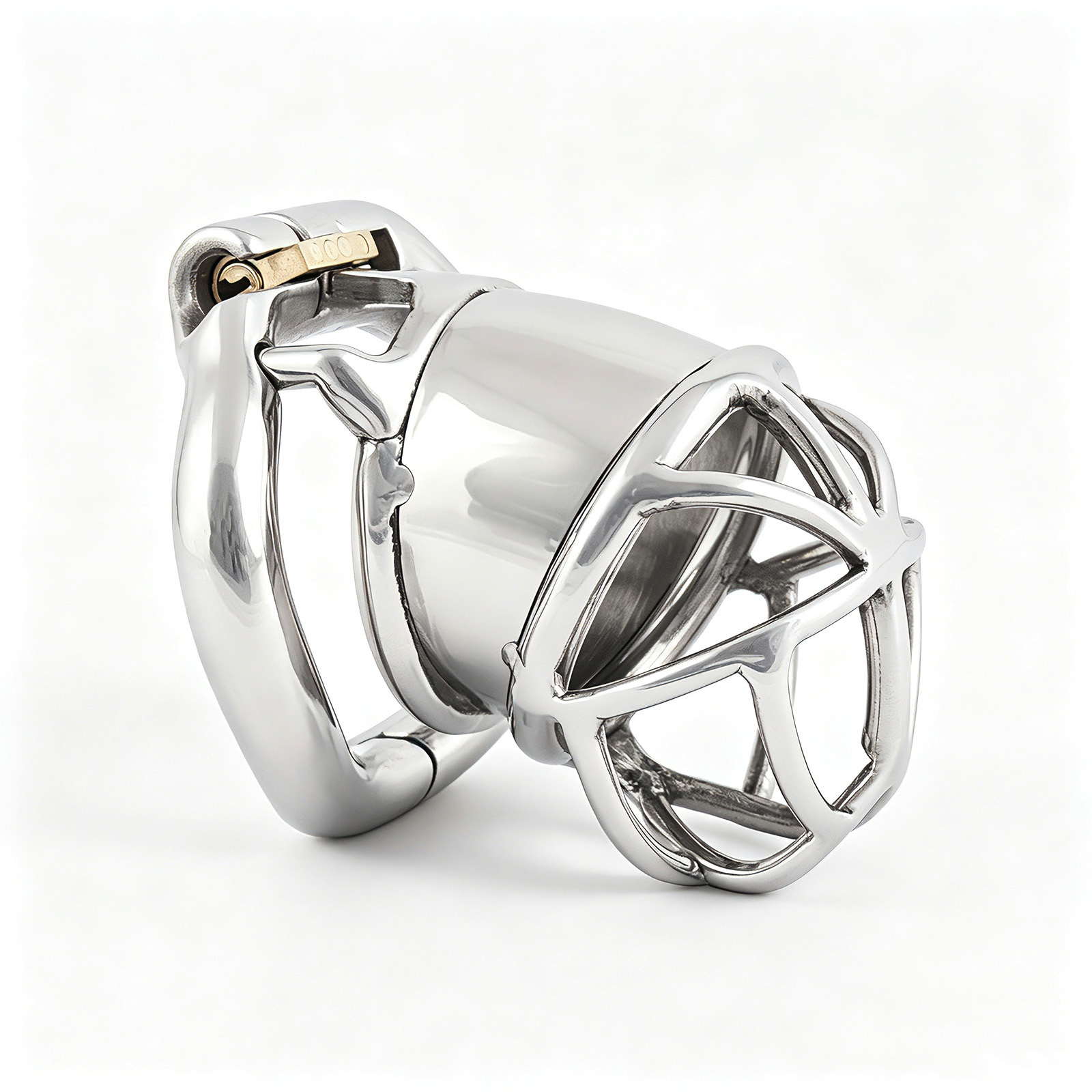 TERNENCE Men Chastity Cage Penis Lock Device with Fetish Erotic Sex Toys