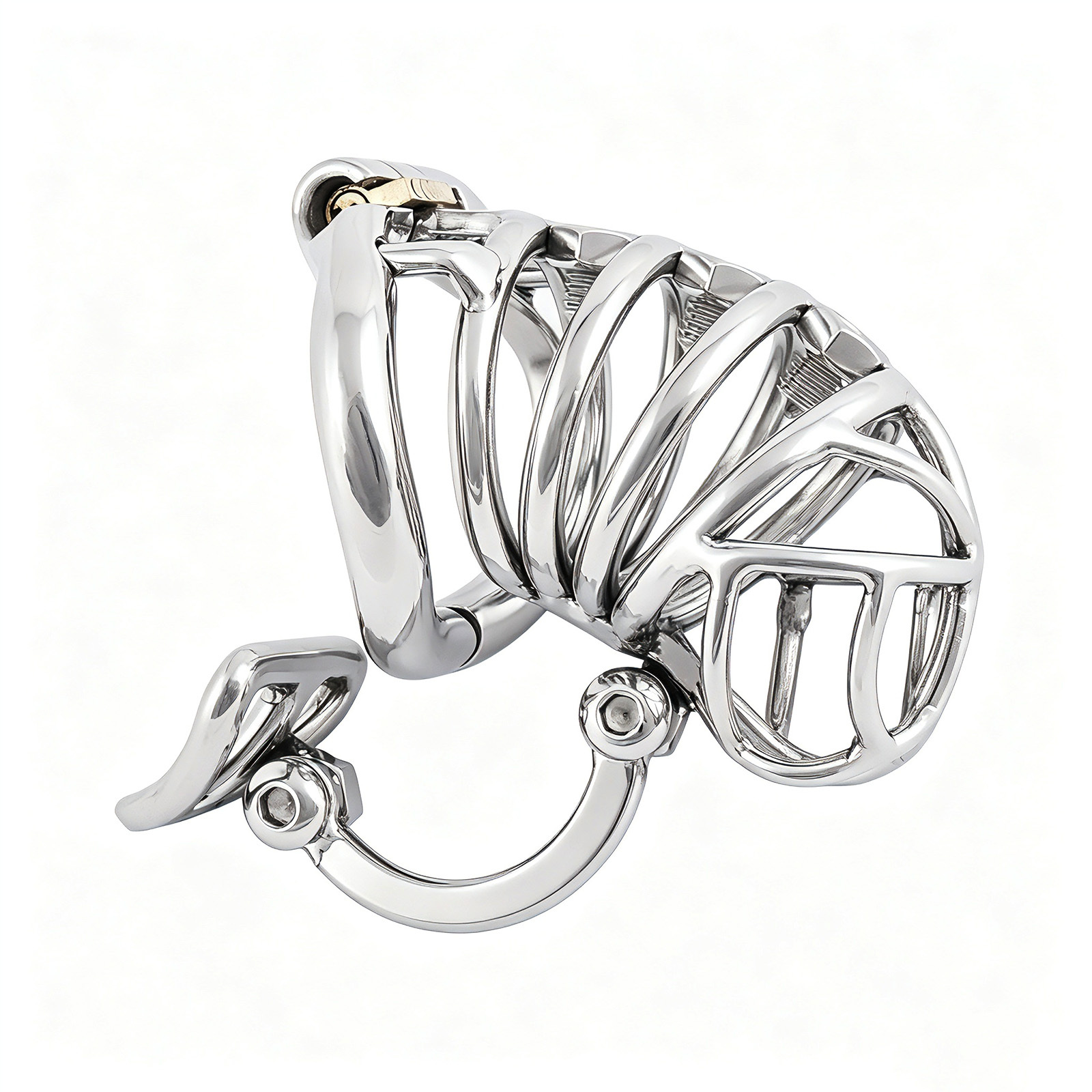 TERNENCE Male Cock Cage Penis Ring Virginity Lock Chastity Belt Adult Game Sex Toy with Separation Hook