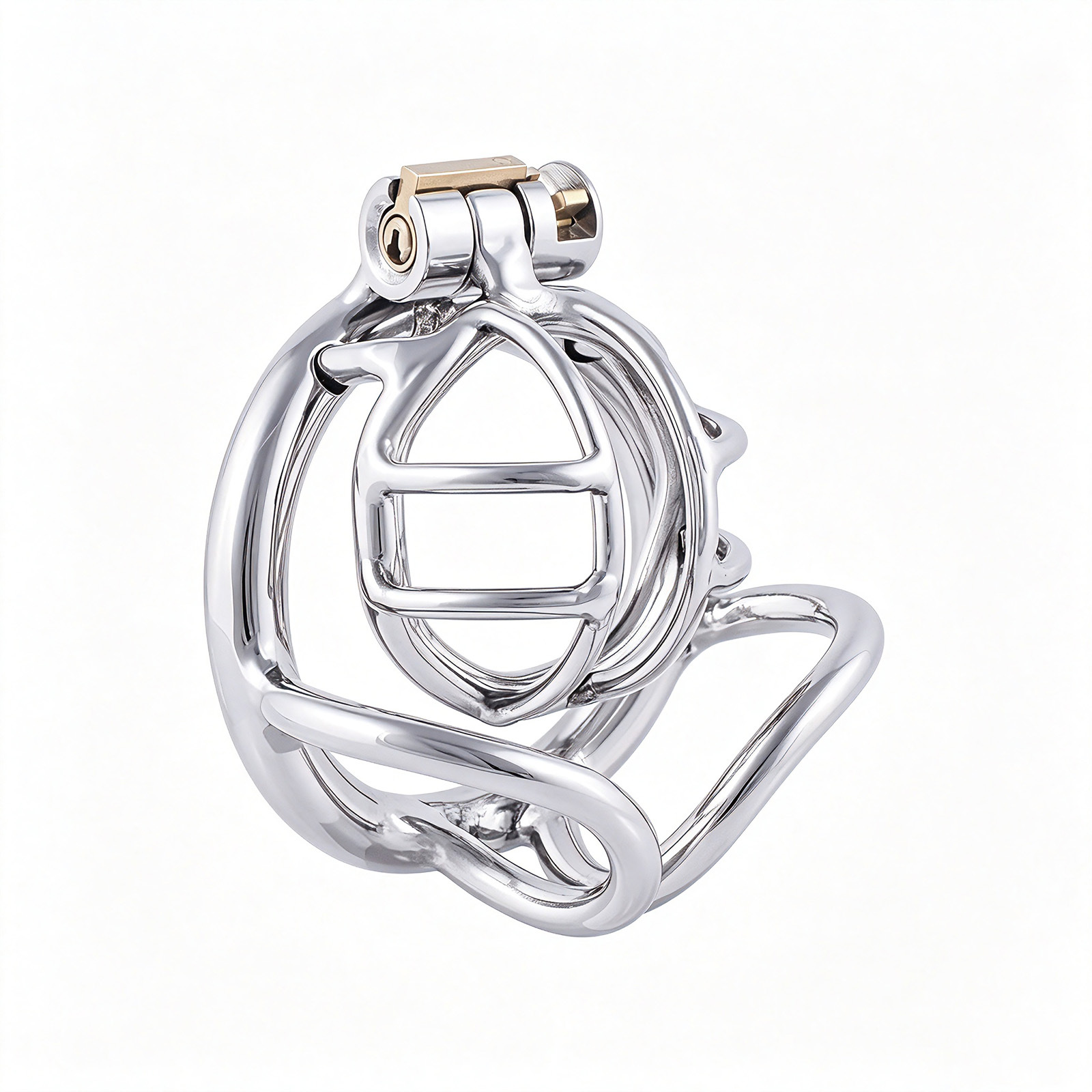 TERNENCE Cock Cage Male Chastity Locked Ergonomic Design Small Cage Sex Toy for Men