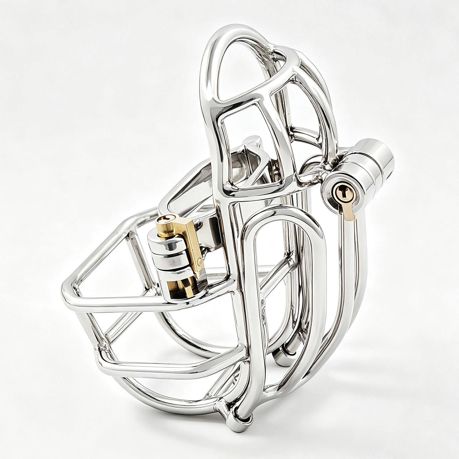 TERNENCE Male Chastity Device Stainless Steel Cock Cage Easy to Wear Male Virginity Lock Chastity Belt with PA Puncture