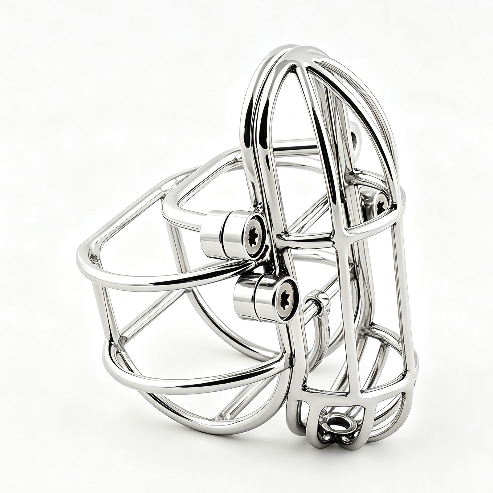 TERNENCE Large Detachable Male Chastity Device Steel Stainless Cock Cage with PA Puncture SM Penis Exercise Sex Toys