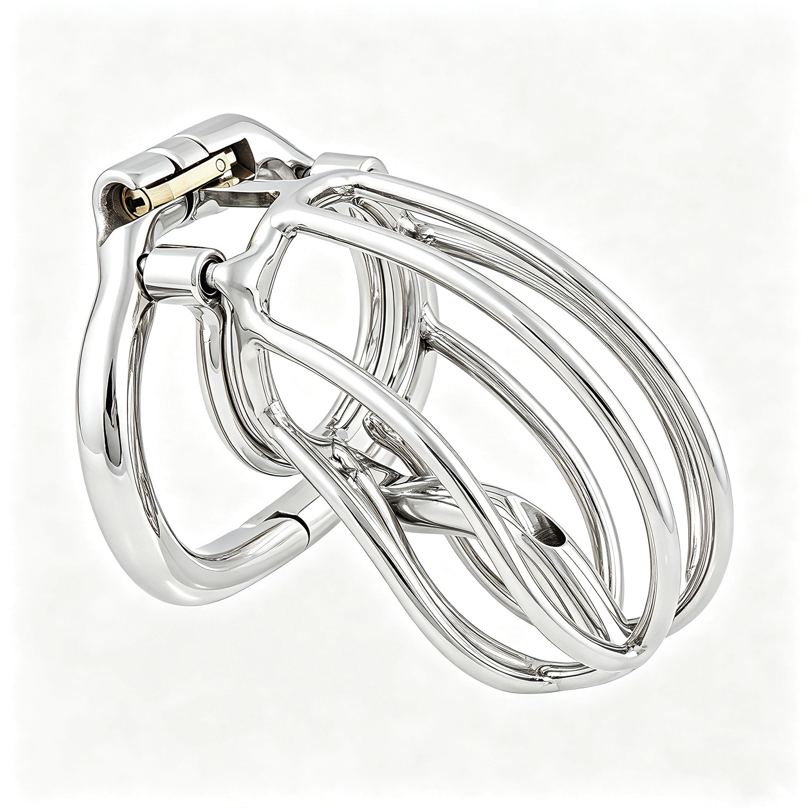 TERNENCE Male Chastity Device Cage with Removable PA Puncture Catheters Chastity Belt Cock Cage