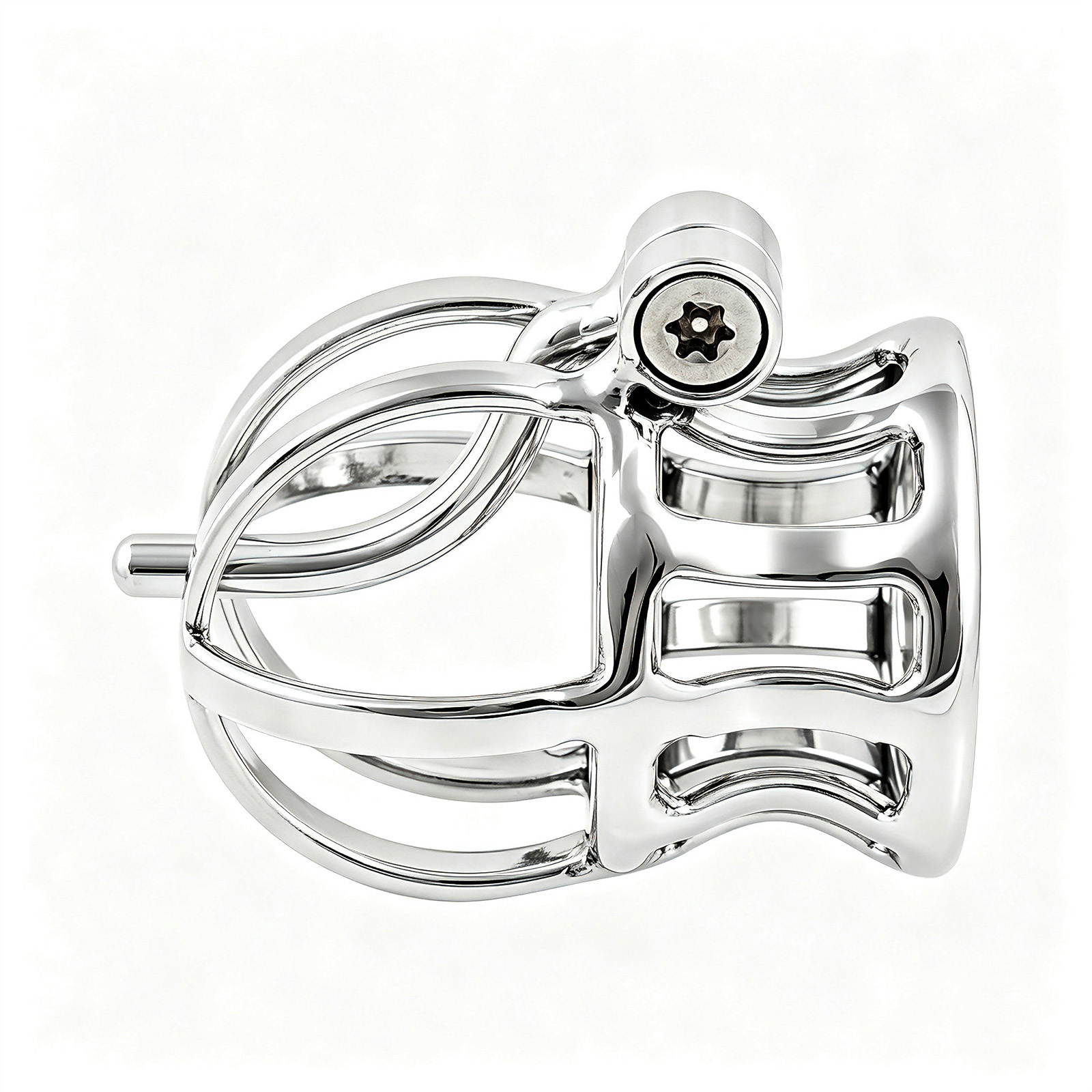 Ternence Male Chastity Device Stainless Steel Penis Piercing PA Puncture Lock Adult Penis Lock Cock Cage Ring