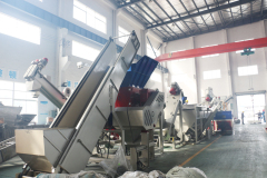 Plastic Film Recycling Plant