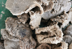 Plastic Shredder/Plastic Lump Shredder