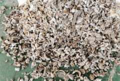 Plastic Shredder/Plastic Lump Shredder