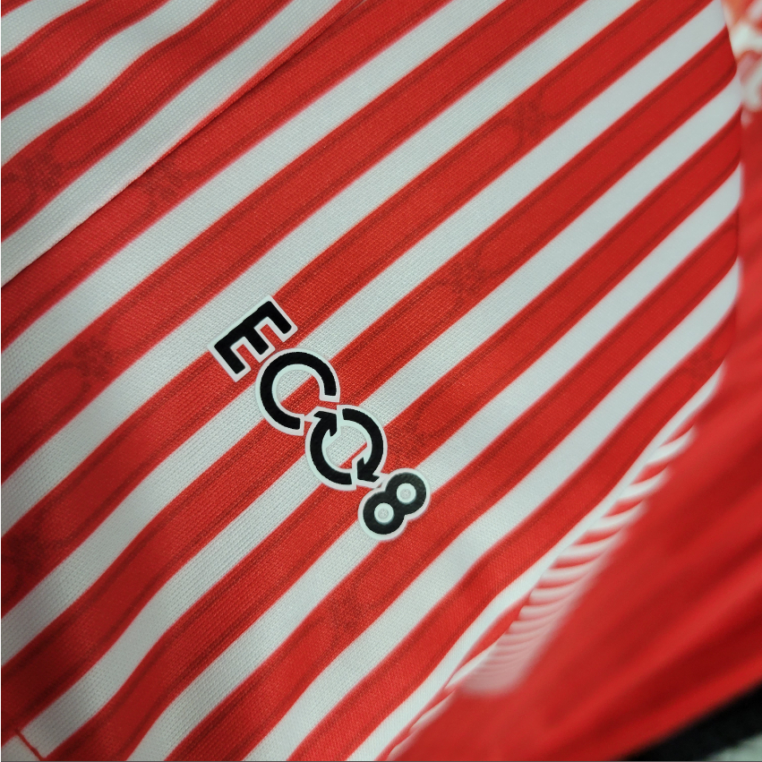 2023/2024 Southampton Home Soccer Jersey