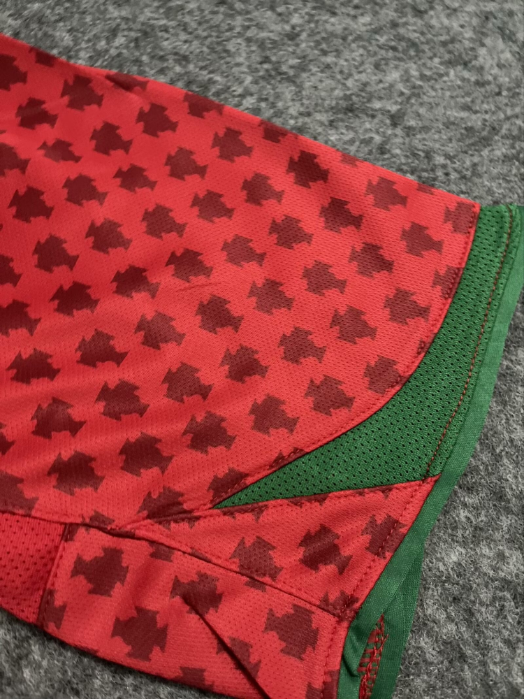 1:1 copy top quality 2004 Portugal Home Red yellow green football jersey
