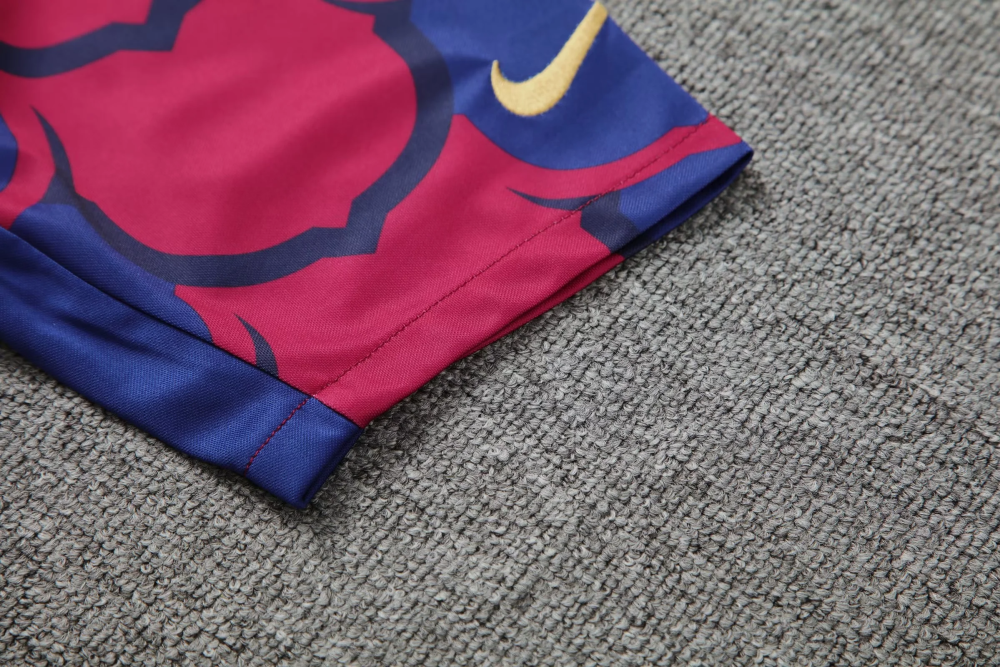 1:1 copy top quality 2024/2025 Barcelona training wear football jersey
