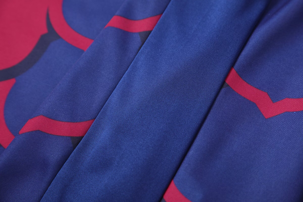 1:1 copy top quality 2024/2025 Barcelona training wear football jersey