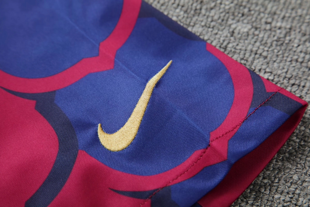 1:1 copy top quality 2024/2025 Barcelona training wear football jersey