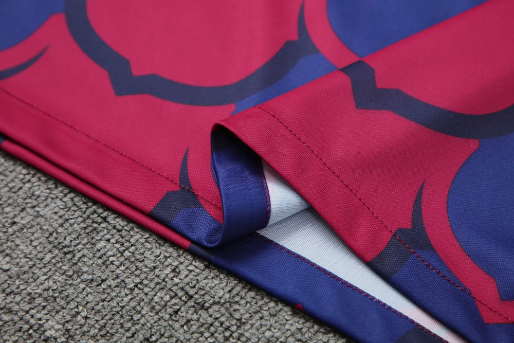 1:1 copy top quality 2024/2025 Barcelona training wear football jersey
