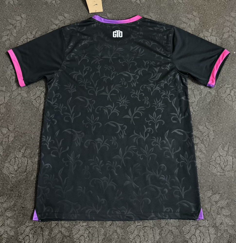 1:1 copy top quality 2024/2025 PSG Purple Special Edition Football Jersey