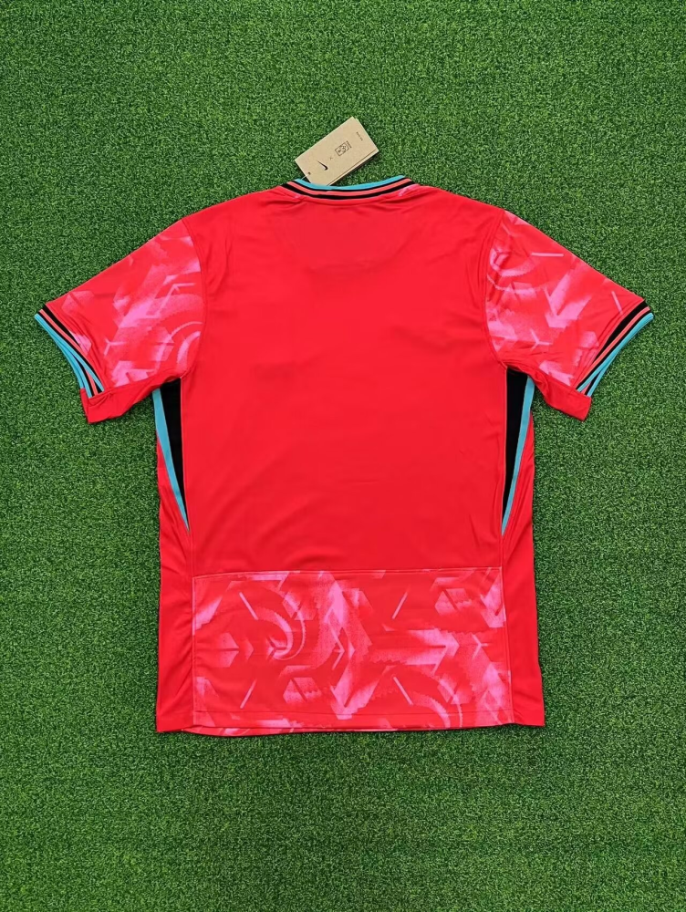 1:1 copy top quality 2024/2025 South Korea home Fan Edition football jersey