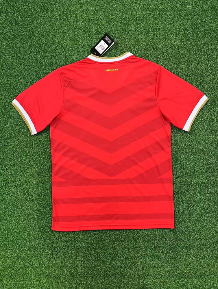 1:1 copy top quality 2024/2025 Panama Special Edition football jersey