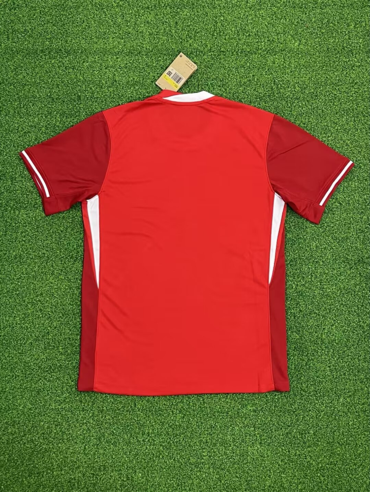 1:1 copy top quality 2024/2025 Canada home Fan Edition football jersey