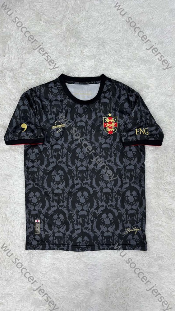 1:1 copy top quality 2024/2025 England special edition football jersey