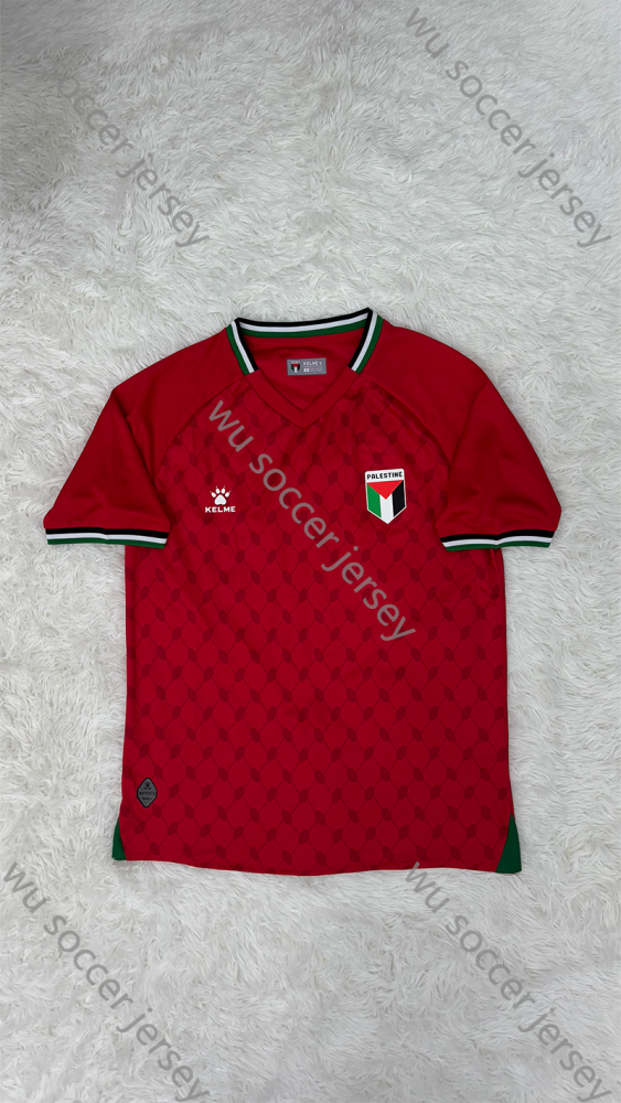 1:1 copy top quality 2024/2025 Palestine Red football jersey