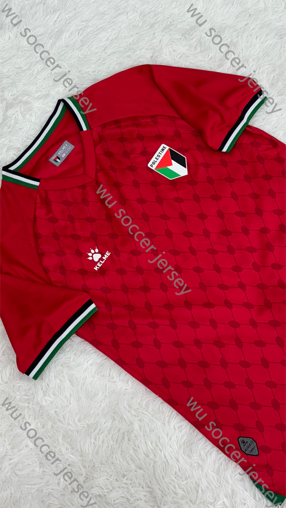 1:1 copy top quality 2024/2025 Palestine Red football jersey