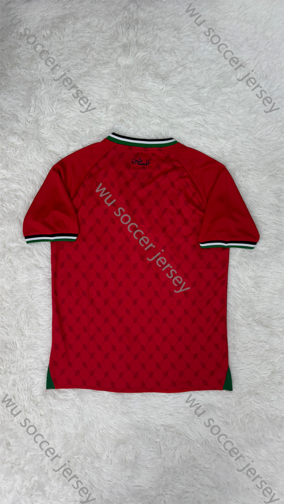 1:1 copy top quality 2024/2025 Palestine Red football jersey