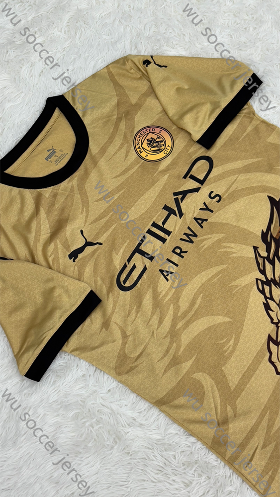 1:1 copy top quality 2024/2025 Manchester City Earth Dragon Special Edition Football Jersey