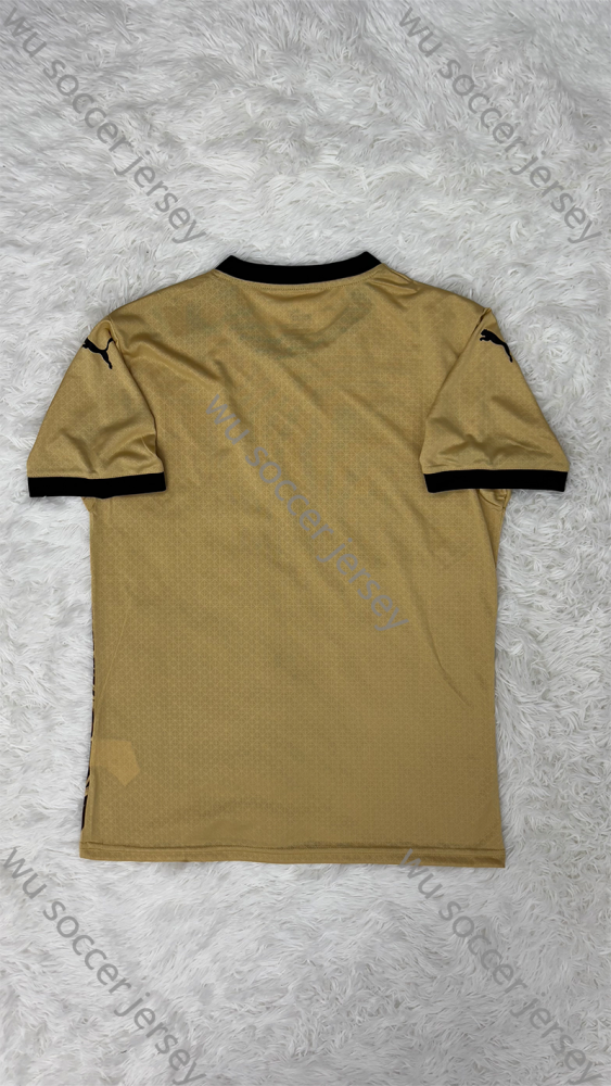 1:1 copy top quality 2024/2025 Manchester City Earth Dragon Special Edition Football Jersey