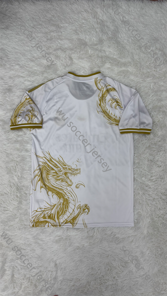 1:1 copy top quality 2024/2025 Real Madrid Speclai Edition Football Jersey