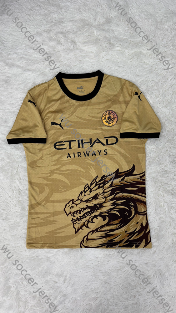 1:1 copy top quality 2024/2025 Manchester City Earth Dragon Special Edition Football Jersey