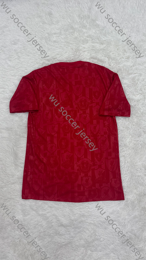 1:1 copy top quality （S-XXL）2024/2025 Liverpool Red Special Edition Football Jersey