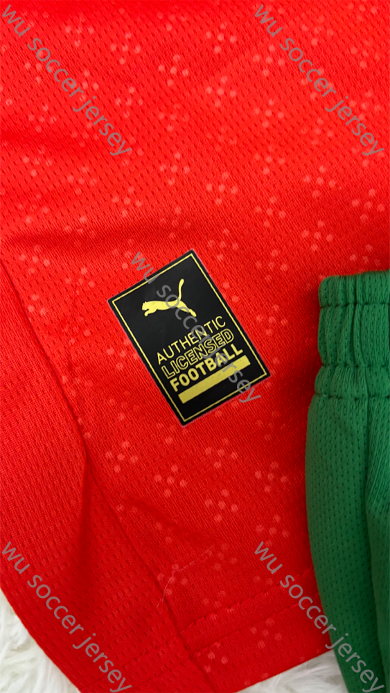 1:1 replica of top quality 2025/2026 Portugal Home Kids National Team Football Jersey