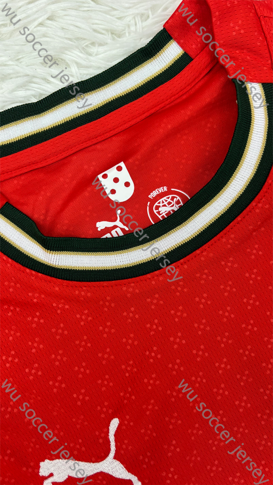 1:1 replica of top quality 2025/2026 Portugal Home Kids National Team Football Jersey