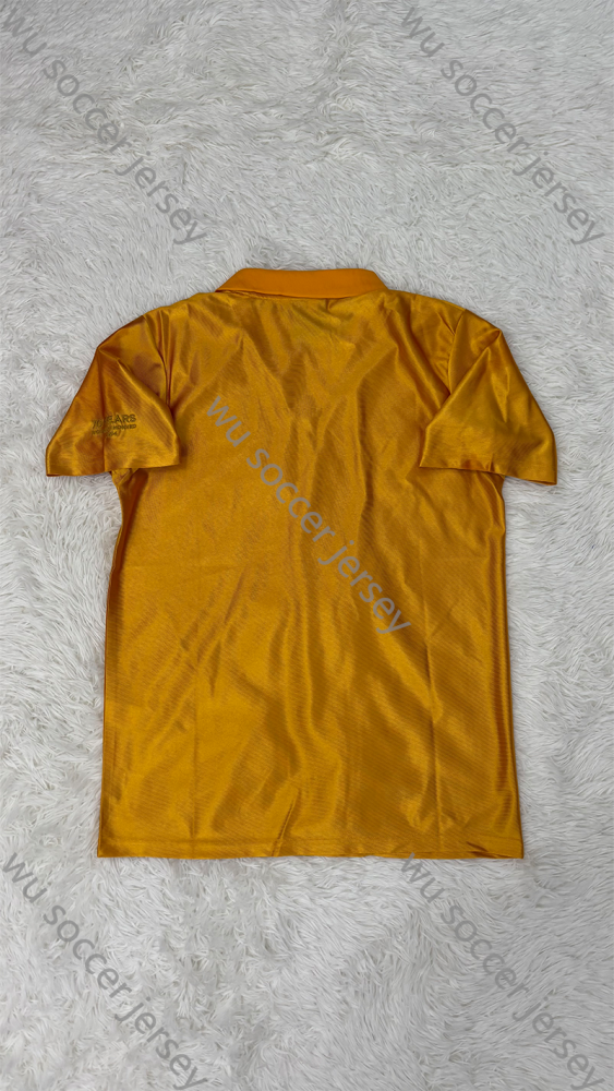 1:1 copy top quality 2024/2025 Wolverhampton Wanderers 70th Ann Player Edition Football Jersey