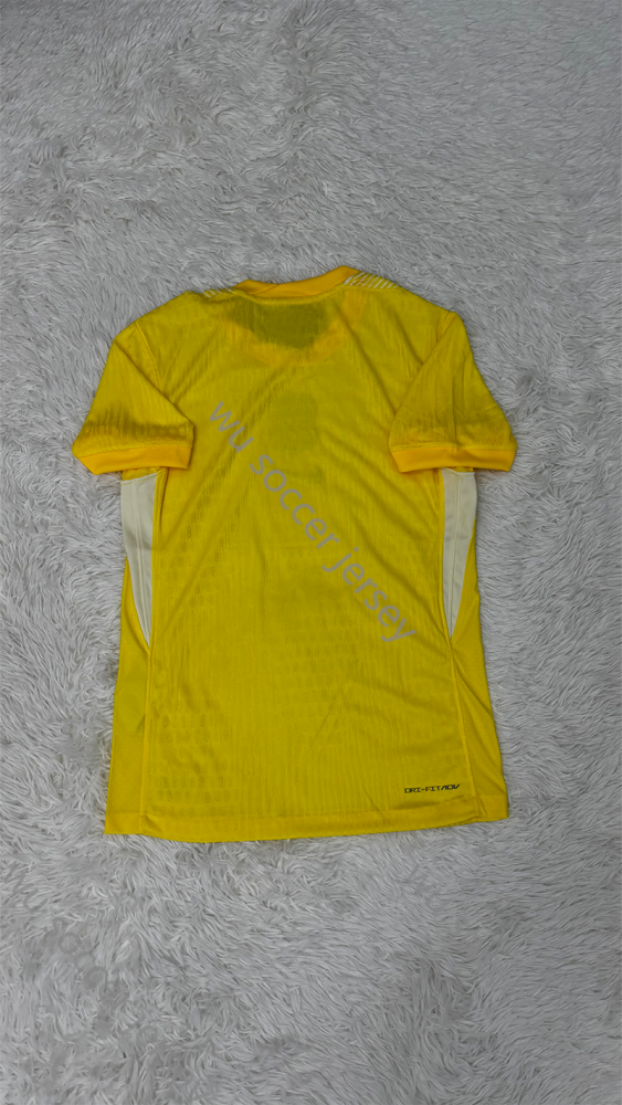 1:1 copy top quality 2025/2026 France Goalie Player Edition national team Soccer Jersey
