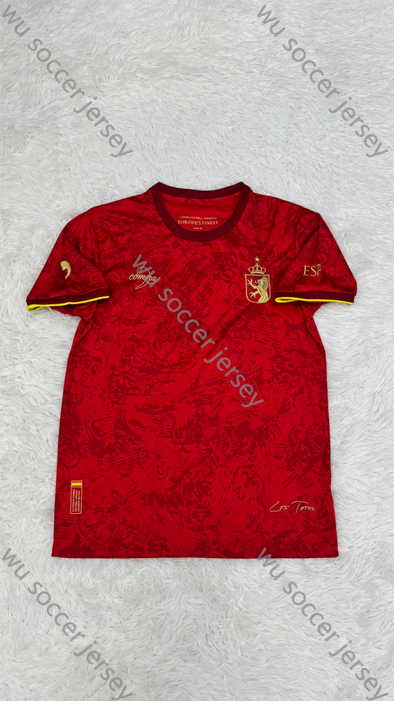 1:1 copy top quality 2024/2025 Spain pre-match training suit Fan Edition national team football jersey