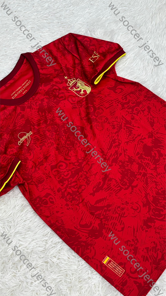 1:1 copy top quality 2024/2025 Spain pre-match training suit Fan Edition national team football jersey