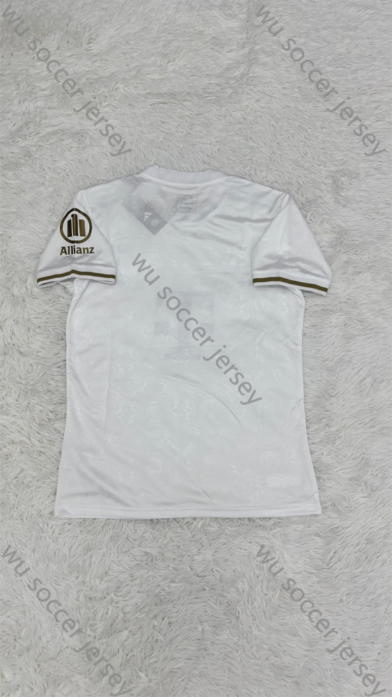 1:1 copy top quality (S-XXL) 2025/2026 Bayern Munich 125th ann player version football jersey