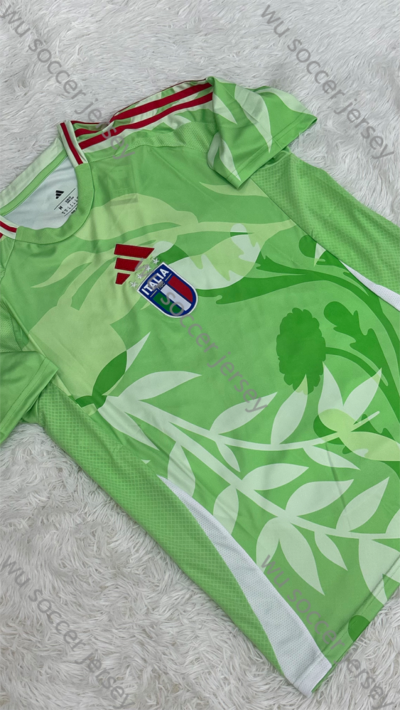 1:1 copy top quality 2025/2026 Italy Away fan version football jersey