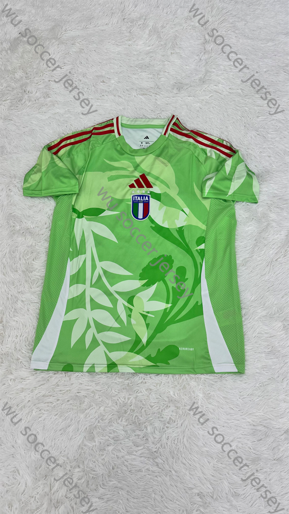 1:1 copy top quality 2025/2026 Italy Away fan version football jersey