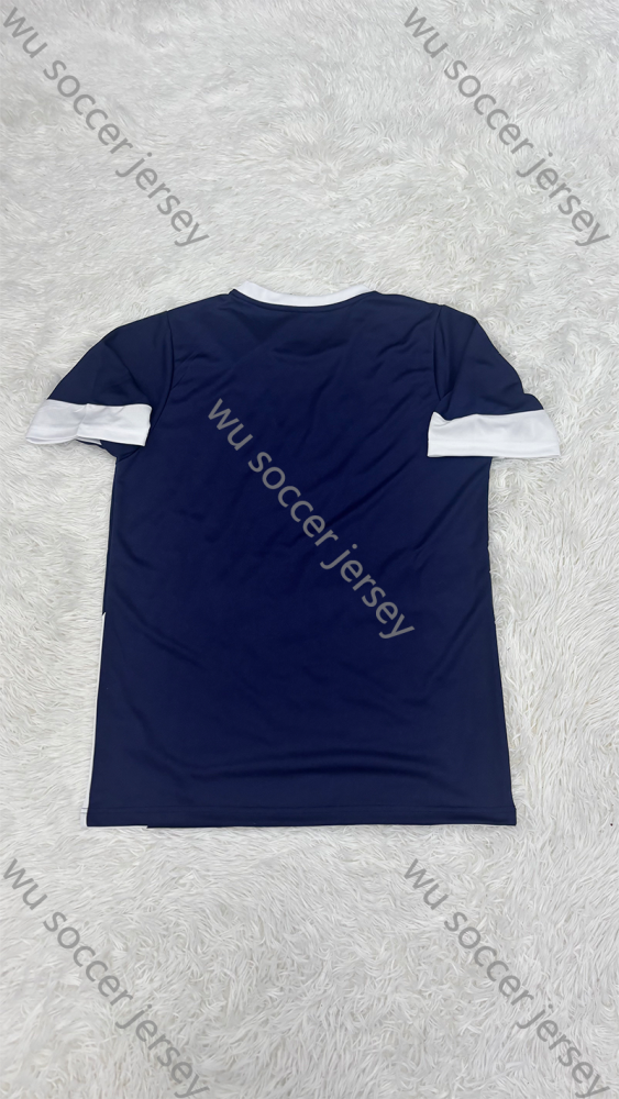 1:1 copy top quality 2025/2026 Portugal Player Edition football jersey