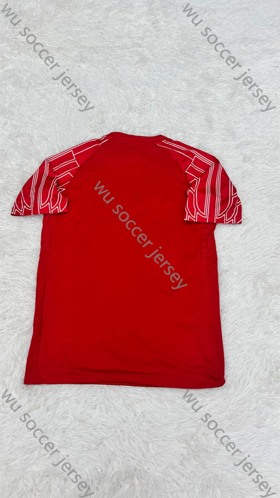 1:1 copy top quality 2025/2026 PSG Special Edition fan version football jersey